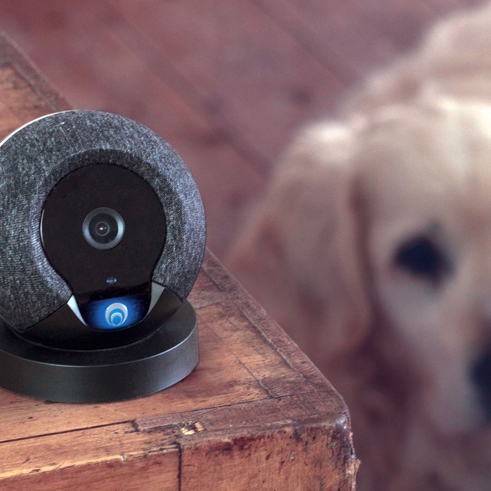 cocoon home security system