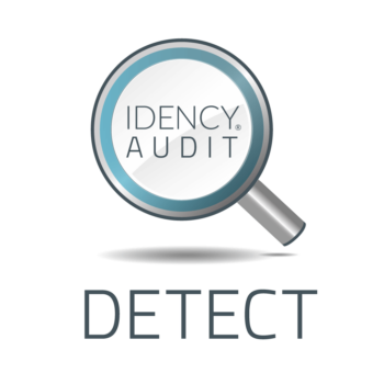 Idency Audit: Detect logo - graphic with these words and image of magnifying glass